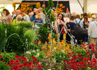 Southport Flower Show: the ultimate 2025 guide (dates, tickets, parking, dog‑friendly tips & more) Southport Flower Show 2025