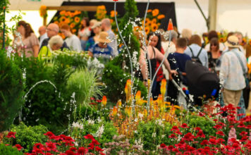 Southport Flower Show: the ultimate 2025 guide (dates, tickets, parking, dog‑friendly tips & more) Southport Flower Show 2025
