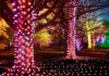 Westonbirt Christmas lights: the ultimate 2025 guide to Enchanted Christmas Westonbirt Christmas Lights 2025