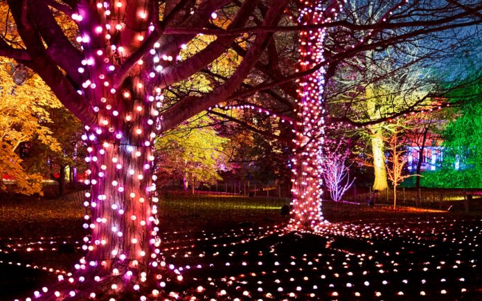 Westonbirt Christmas Lights 2025