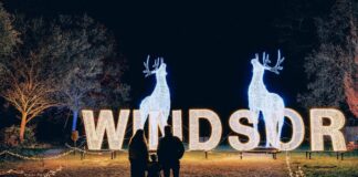 Windsor Great Park Illuminated