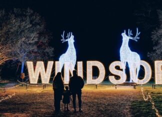 Windsor Great Park Illuminated: The Complete 2025 Visitor Guide Windsor Great Park Illuminated