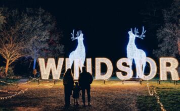 Windsor Great Park Illuminated: The Complete 2025 Visitor Guide Windsor Great Park Illuminated