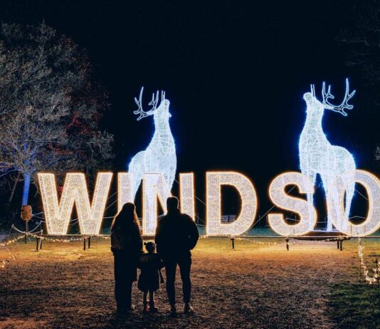 Windsor Great Park Illuminated