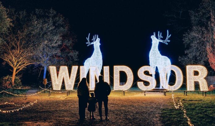 Windsor Great Park Illuminated