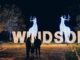 Windsor Great Park Illuminated: The Complete 2025 Visitor Guide Windsor Great Park Illuminated