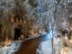 Christmas at Holkham Hall 2025: Your Complete Visitor Guide Christmas at Holkham Hall 2025