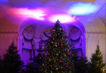 Christmas at Mottisfont 2025 – Your Complete Guide Christmas at Mottisfont 2025