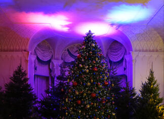 Christmas at Mottisfont 2025 – Your Complete Guide Christmas at Mottisfont 2025