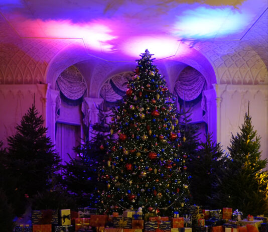 Christmas at Mottisfont 2025 – Your Complete Guide Christmas at Mottisfont 2025