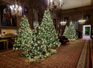Christmas at Petworth House 2025: the Ultimate Visitor Guide Christmas at Petworth House 2025