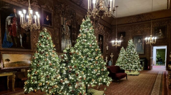 Christmas at Petworth House 2025: the Ultimate Visitor Guide Christmas at Petworth House 2025