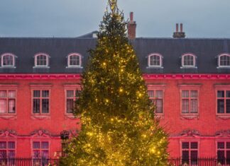 Christmas at Tredegar House 2025: your complete guide to a magical visit Christmas at Tredegar House 2025