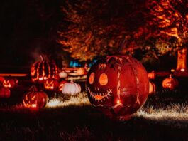 Halloween at Blenheim Palace 2025