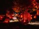 Halloween at Blenheim Palace 2025: the ultimate, no-stress guide (dates, tickets, parking, getting there & what to expect) Halloween at Blenheim Palace 2025