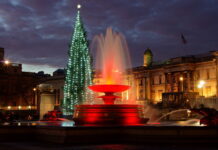 Trafalgar Square Christmas Tree 2025