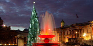 Trafalgar Square Christmas Tree 2025