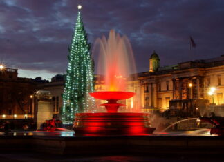 The Ultimate 2025 Guide to the Trafalgar Square Christmas Tree Trafalgar Square Christmas Tree 2025