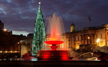 The Ultimate 2025 Guide to the Trafalgar Square Christmas Tree Trafalgar Square Christmas Tree 2025