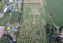 York Maze