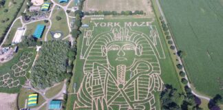 York Maze