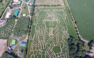The Ultimate York Maze Guide: Opening Times, Ticket Prices & Insider Tips York Maze