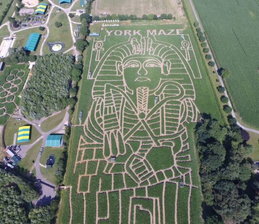 York Maze
