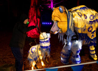 Yuletide at Tatton Park 2025: Light Trail Tickets, Times, Parking & Tips Yuletide at Tatton Park 2025