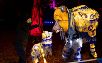 Yuletide at Tatton Park 2025: Light Trail Tickets, Times, Parking & Tips Yuletide at Tatton Park 2025