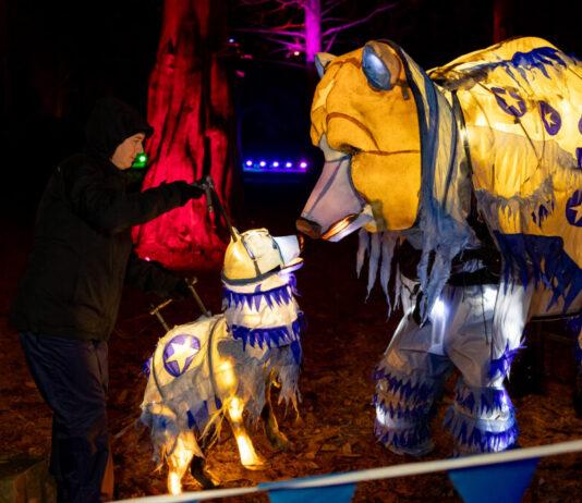 Yuletide at Tatton Park 2025