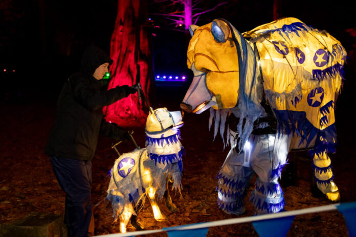 Yuletide at Tatton Park 2025