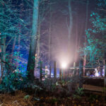 BeWILDerwood Presents Christmas 2025 (Cheshire): the ultimate guide to dates, tickets, times & tips Bewilderwood Presents Christmas Cheshire
