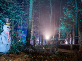 Bewilderwood Presents Christmas Cheshire