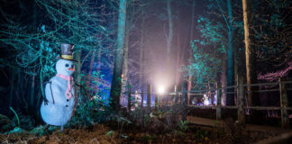 Bewilderwood Presents Christmas Cheshire