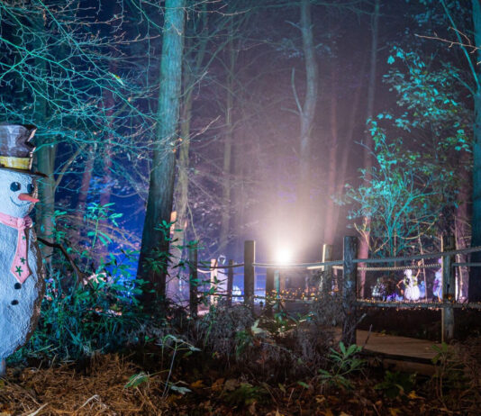 Bewilderwood Presents Christmas Cheshire