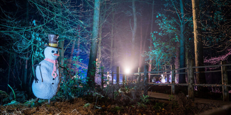 Bewilderwood Presents Christmas Cheshire